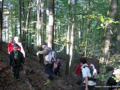 Ključne besede: PPP