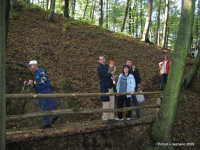 Ključne besede: PPP