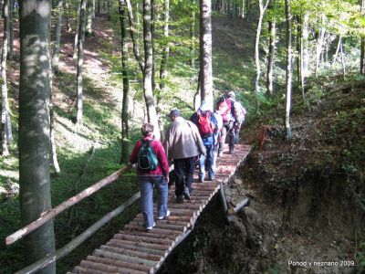 Ključne besede: PPP