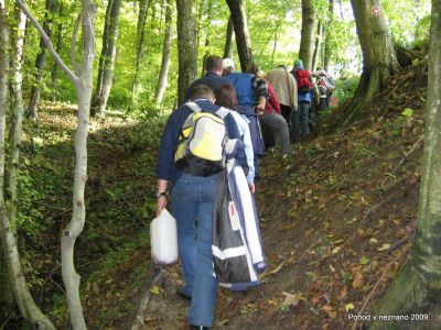 Ključne besede: PPP