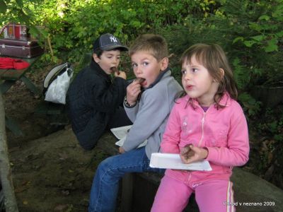 Ključne besede: PPP