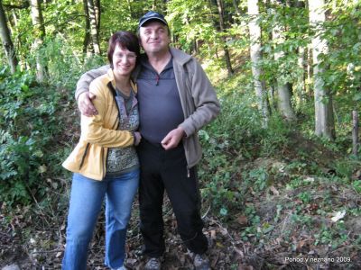 Ključne besede: PPP