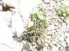143-DSC01105.JPG