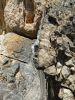 328-DSC01294.JPG
