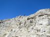 346-DSC01312.JPG