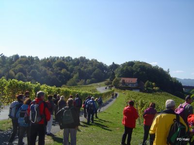 Drago_Lipic_Weinstrasse_2011_-28.JPG