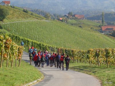 Drago_Lipic_Weinstrasse_2011_-60.JPG