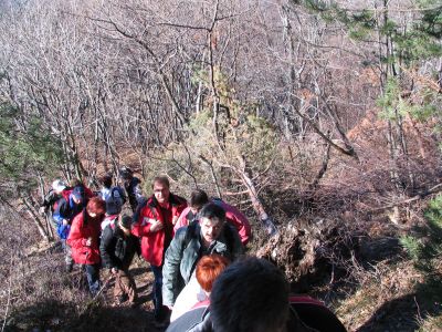 Branko Družovec - Boč 2008 - 26. Januar 2008
Branko Družovec - Boč 2008 - 26. Januar 2008
Ključne besede: Družovec Boč Januar