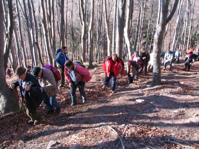 Branko Družovec - Boč 2008 - 26. Januar 2008
Branko Družovec - Boč 2008 - 26. Januar 2008
Ključne besede: Družovec Boč Januar