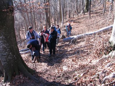 Branko Družovec - Boč 2008 - 26. Januar 2008
Branko Družovec - Boč 2008 - 26. Januar 2008
Ključne besede: Družovec Boč Januar